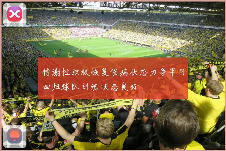 特谢拉积极恢复伤病状态力争早日回归球队训练状态良好